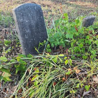 Johnston Family Cemetery Gallery