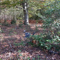 Morrison Family Cemetery Gallery